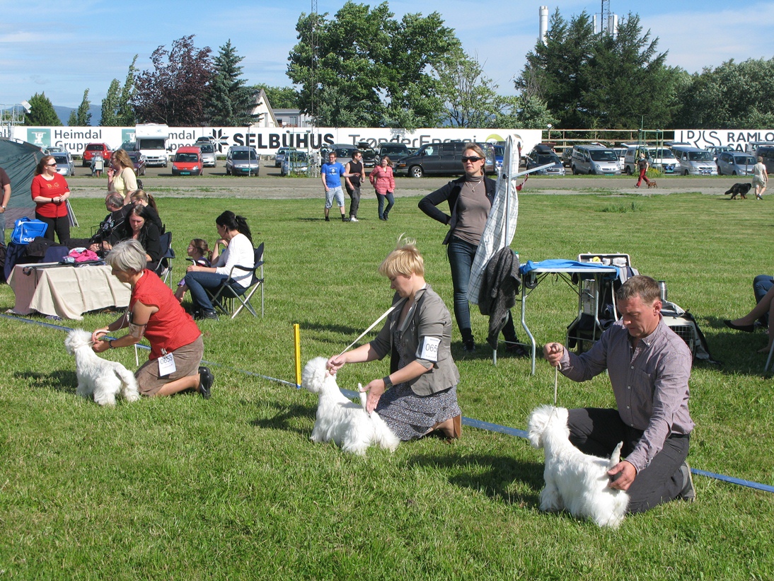 intermedia - open - champion class females